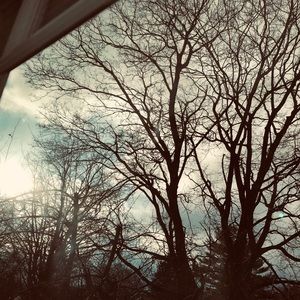 Meet your Posher, Ellen